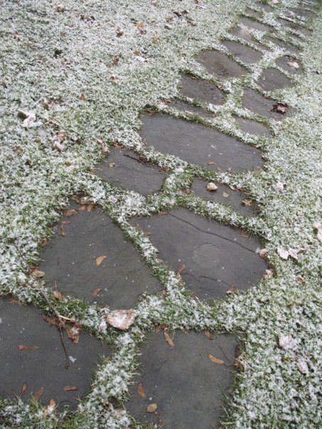 Frosted path